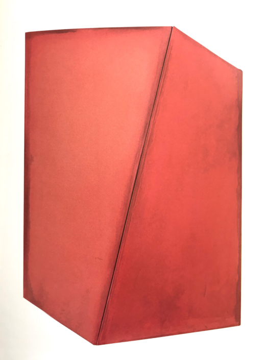 Pietro Pasquali, Scudo rosa, 2016, olio su tela, 108x75 cm